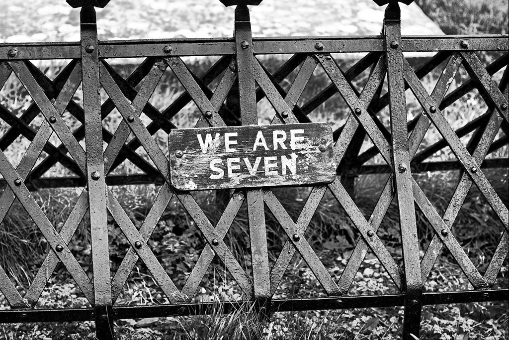 We Are Seven